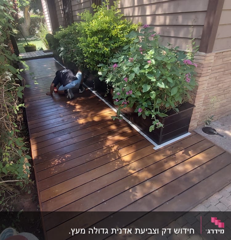 אדם עובד על דק עץ ליד עציצים ירוקים